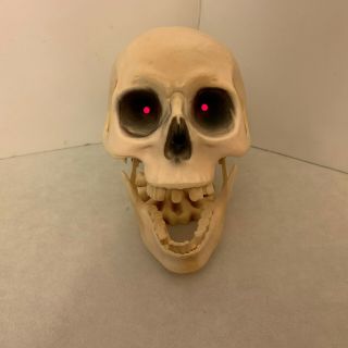 Halloween - Laughing Animated Skull - Halloween Home Decor