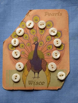 7185 Antique Mother Of Pearl Button Card,  Wisco,  Peacock Graphic