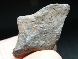 Meteorite Canyon Diablo Iron - Iab - Mg - Cd - 0030 - 14.  69g - - Indies