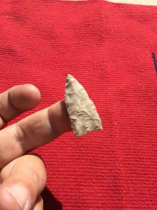 Indian Artifacts / Fine Grade Ohio Ft Ancient / Authentic Arrowheads