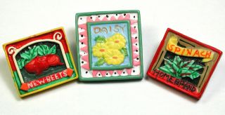 Bb 3 Vintage Buttons Realistic Seed Packets Designs - 7/8 To1 "