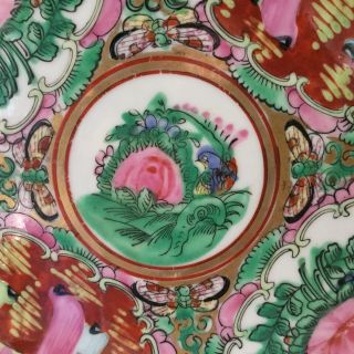 Vintage Rose Medallion Dinner Plate 10” P.  C.  T.  Japanese Porcelain Ware 4