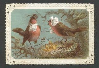 B20 - Anthropomorphic Robin Couple With Nest - Goodall - Victorian Xmas Card