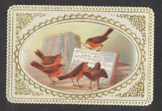 C5015 Victorian Goodall Xmas Card: Lifting Chromo,  Robin Choir Practice