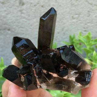 94g Natural Mineral Specimen Black Quartz Crystal Cluster Madagascar