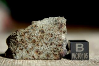 Nwa 6080 Ll4 Chondrite Meteorite 12.  5 Gram Unpolished Part Slice