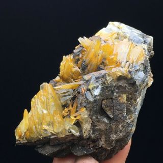 127gnatural Yellow Dog Tooth Wheels Calcite Crystal Cluster Mineral Specimen
