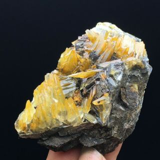 127gNatural Yellow Dog Tooth Wheels Calcite Crystal Cluster Mineral Specimen 2