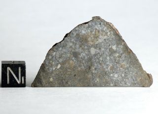 Meteorite Nwa 11344 - L3 - 4 (s3/w0 - 1) Very Fresh Large Thin Slice 7.  45g