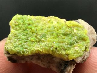 5.  5g Natural Rare Green Autunite Crystal Cluster Display Mineral Specimen 2