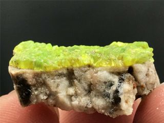 5.  5g Natural Rare Green Autunite Crystal Cluster Display Mineral Specimen 3