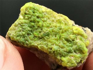 5.  5g Natural Rare Green Autunite Crystal Cluster Display Mineral Specimen 4