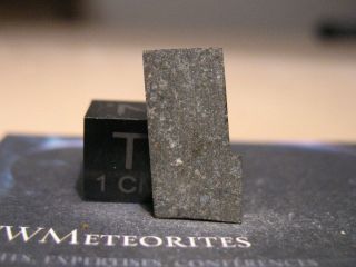 Meteorite Nwa 10393,  Carbonaceous Co3 Chondrite