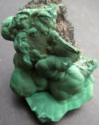 Eleven Ounce Bubbly Malachite Display Specimen from the Congo 2