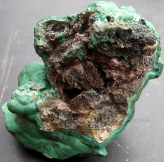 Eleven Ounce Bubbly Malachite Display Specimen from the Congo 4