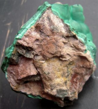Eleven Ounce Bubbly Malachite Display Specimen from the Congo 5