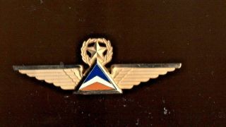 Delta Airlines Pilot Captain Wing Badge Pin