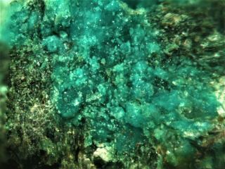 Takovite Rare Mineral Micromount From Australia