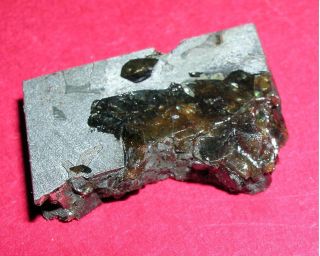 Seymchan Pallasite Meteorite 7.  8 Gram Etched Slice
