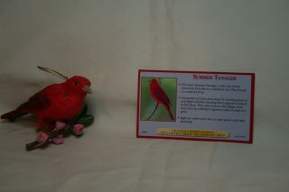 Danbury Summer Tanager Bird Ornament (bright Red) With Card