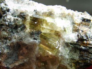 Three 100 Natural Translucent Apatite Crystals In Matrix Mexico 30.  4gr