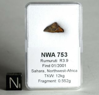 Meteorite Nwa 753 - Rumuruti R3.  9 Chondrite - Fragment In Display Box