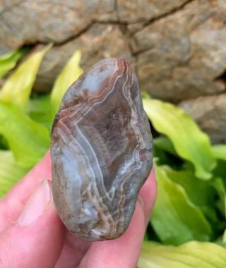 Lake Superior Agate 2.  4 ounce Gray with Colorful Banding Agate 2