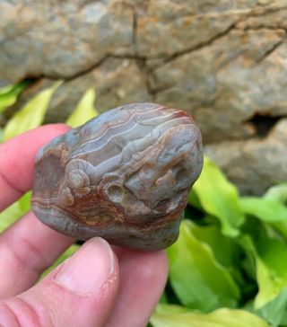 Lake Superior Agate 2.  4 ounce Gray with Colorful Banding Agate 4