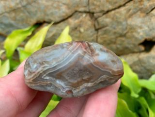 Lake Superior Agate 2.  4 ounce Gray with Colorful Banding Agate 5