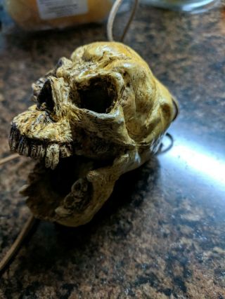 Aztec death Whistle - Human Skull (Imitates Humans screams) 2