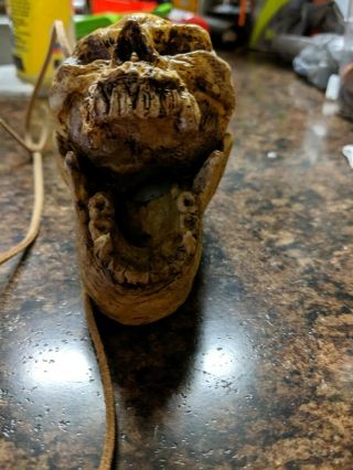Aztec death Whistle - Human Skull (Imitates Humans screams) 3