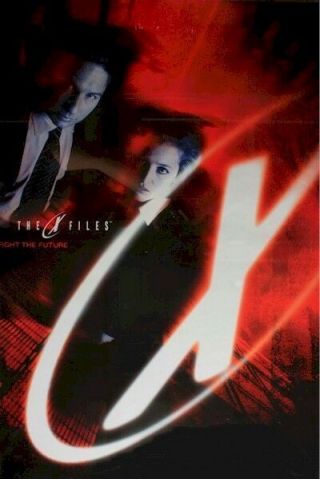 X - Files Fight The Future Style D 23x35 Movie Poster David Duchovny Xfiles