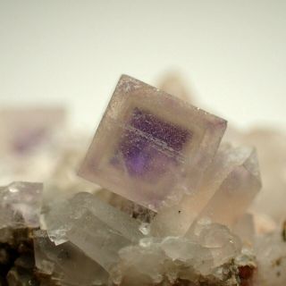 Fluorite Crystals With Purple Phantoms On Quartz Krupka,  Czech Republic