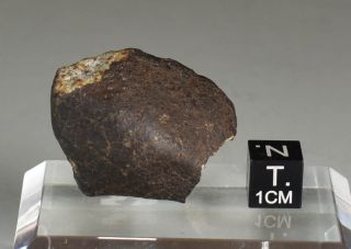 Crusted Chondrite Meteorite Nwaxxx,  34g,