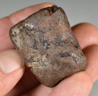 Complete Chondrite Meteorite Nwa 77,  9 G Sahara