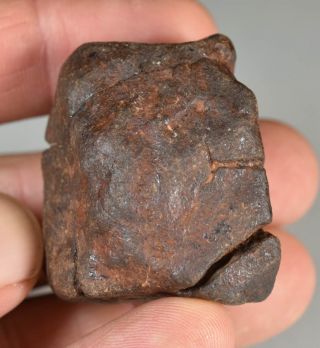 Complete Chondrite Meteorite NWA 77,  9 g Sahara 2