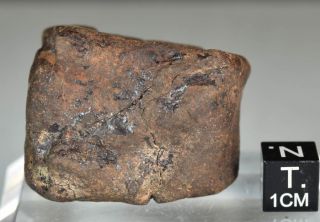 Complete Chondrite Meteorite NWA 77,  9 g Sahara 3