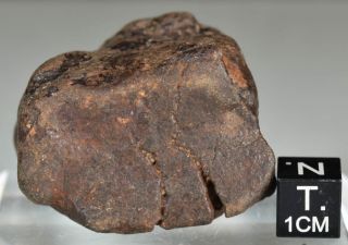 Complete Chondrite Meteorite NWA 77,  9 g Sahara 5