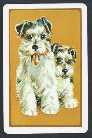 950.  264 Vintage Swap Card - Near - Terrier & Puppy On Mustard Background