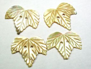 4 Vintage Shell Button Realistic Leaf Design - 1 "