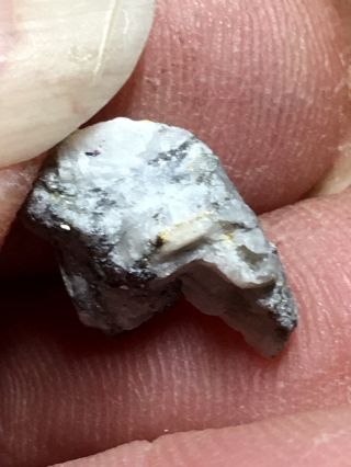 Natural Gold In Quartz Specimen Bullion Rock Southern Oregon.  69 Gram A5