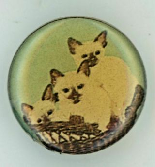 Siamese Cats Button Design Under Resin By Shirley Burgess Signed 15/16 " Dia M