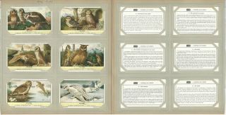 Liebig,  Set 6 Cards,  F1759,  1961,  Owls,  Birds
