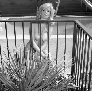 1960s Vogel Negative,  Gorgeous Nude Blonde Pin - Up Girl Dorothy Hagen,  T240566