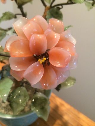 Vintage Glass Jade Bonsai Sakura Cherry Blossom Tree In Celadon Green Pot - 14” 3
