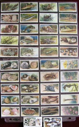 Vintage Trade Non Sport Tobacco Cards,  By The Sea - Shore,  W.  B.  & H.  O.  Wills,  Impe
