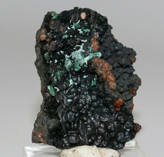 1 1/2 " Malachite Pseudomorph,  Omega Mine,  Arizona Mal2942