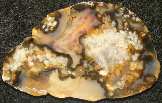 Awesome Montana Agate Slab… From Old - Time Stash … Great Colors,  Patterns,  Plumes