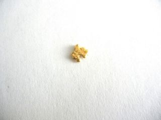 Alaska Placer Gold Nuggets 0.  1444 Grams