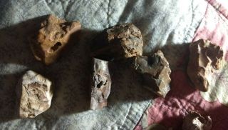6 Indian Artifact Pendant Bird Stone Effigy Southern Missouri Osage